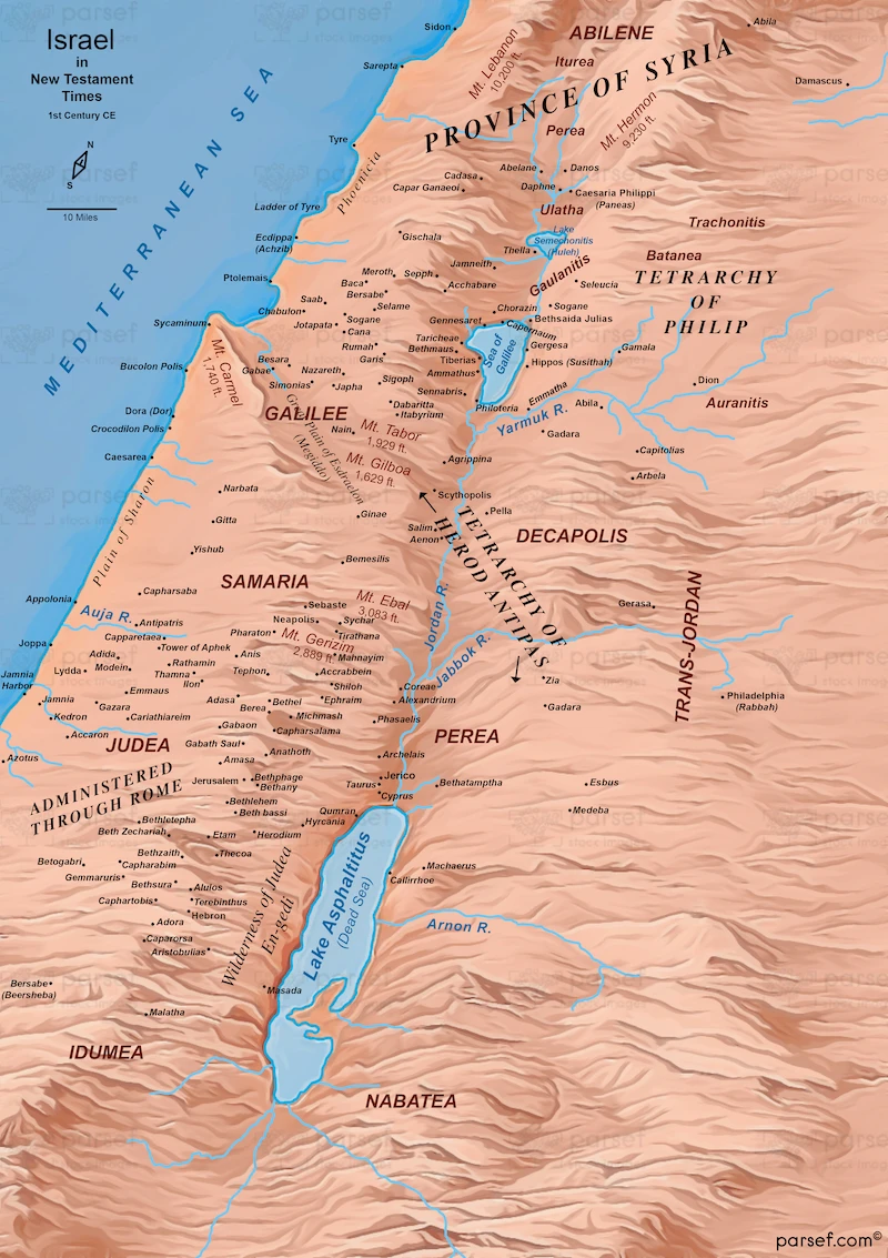 Israel in New Testament Times 1st Century CE Topo Color Map